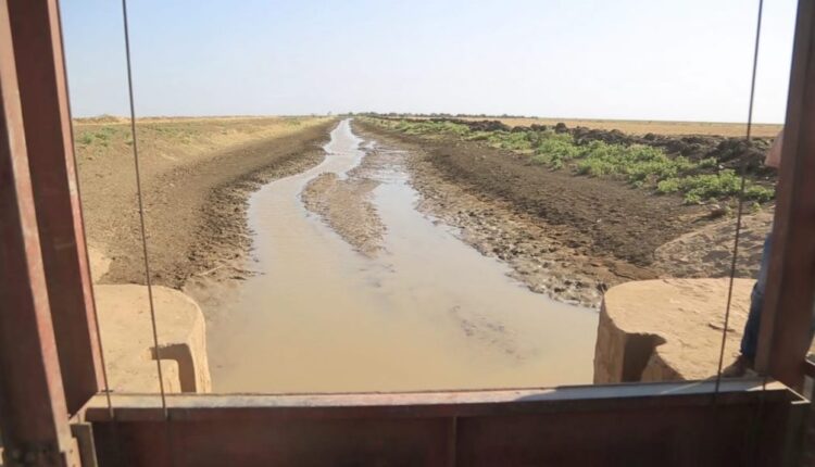 مشروع الرهد الزراعي