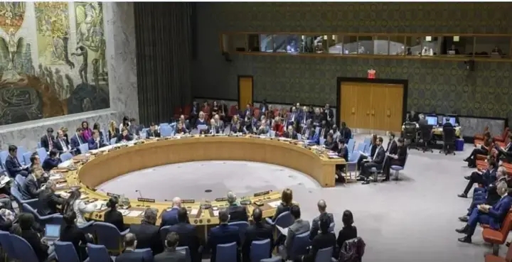 مجلس الأمن الدولي