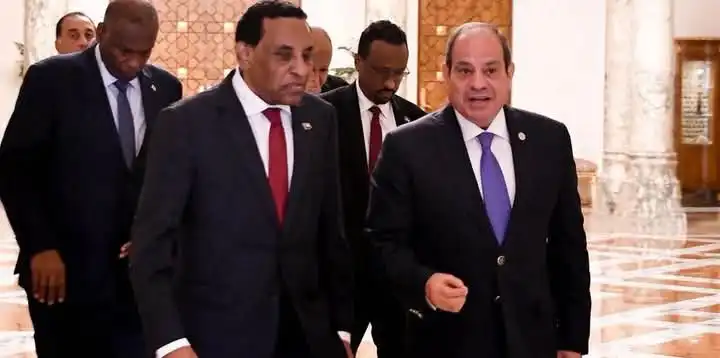 السيسي يلتقي كامل إدريس في القاهرة