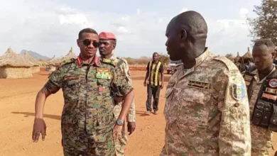 الفرقة الرابعة مشاة النيل الأزرق