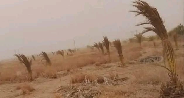 العطش في مشروع القرير 